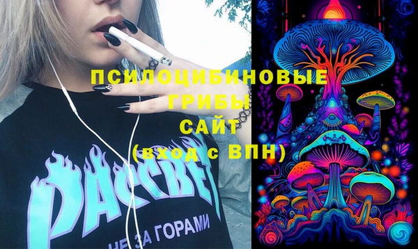 твердый Протвино